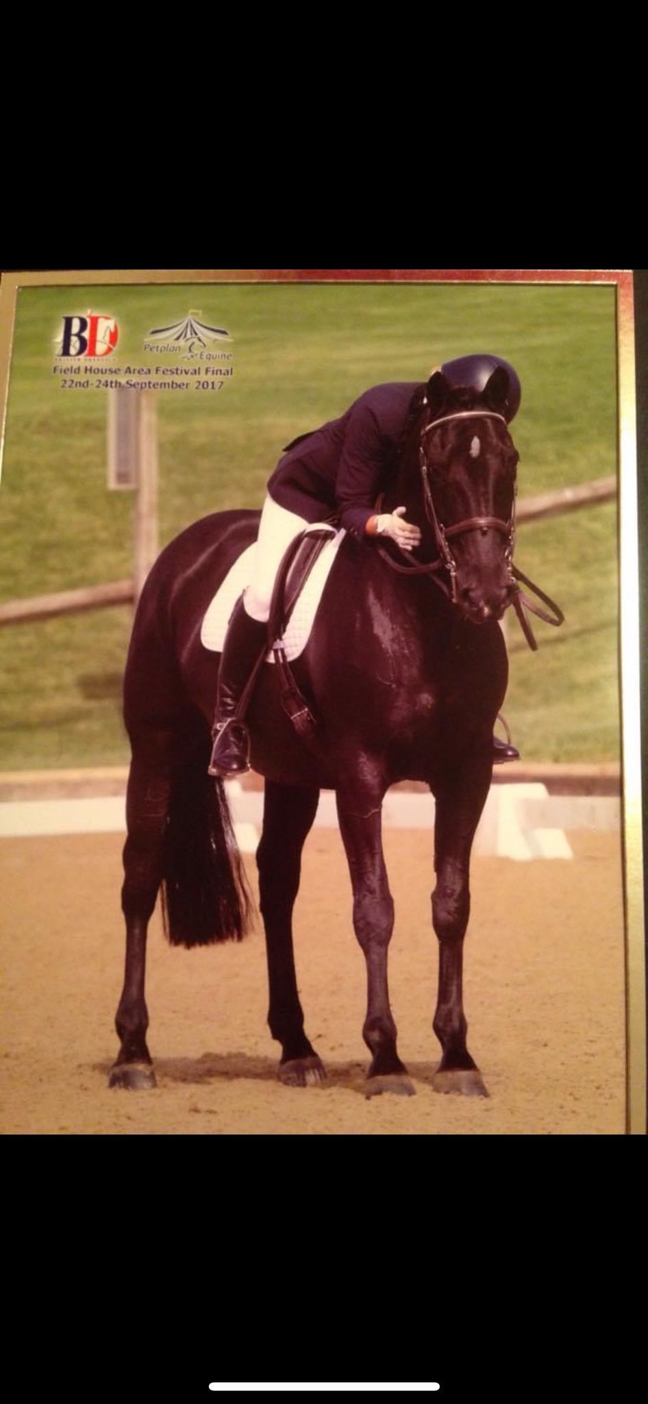 Dressage Clinic at Canaan Farm