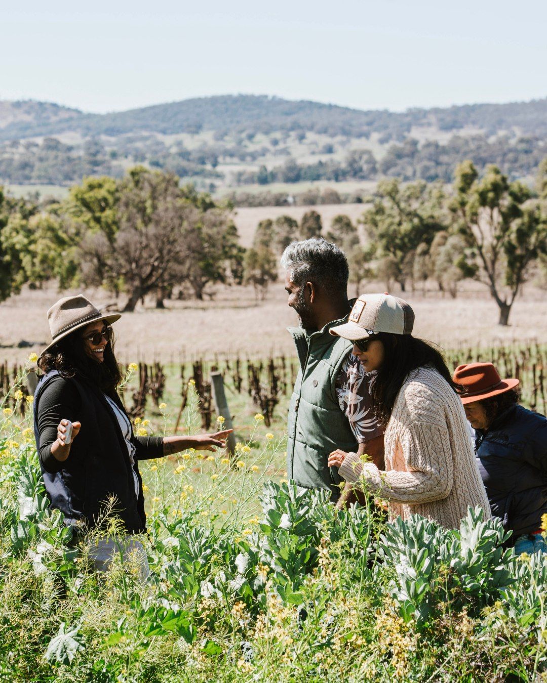 Farm Walk - Zin House Garden & Lowe Wines