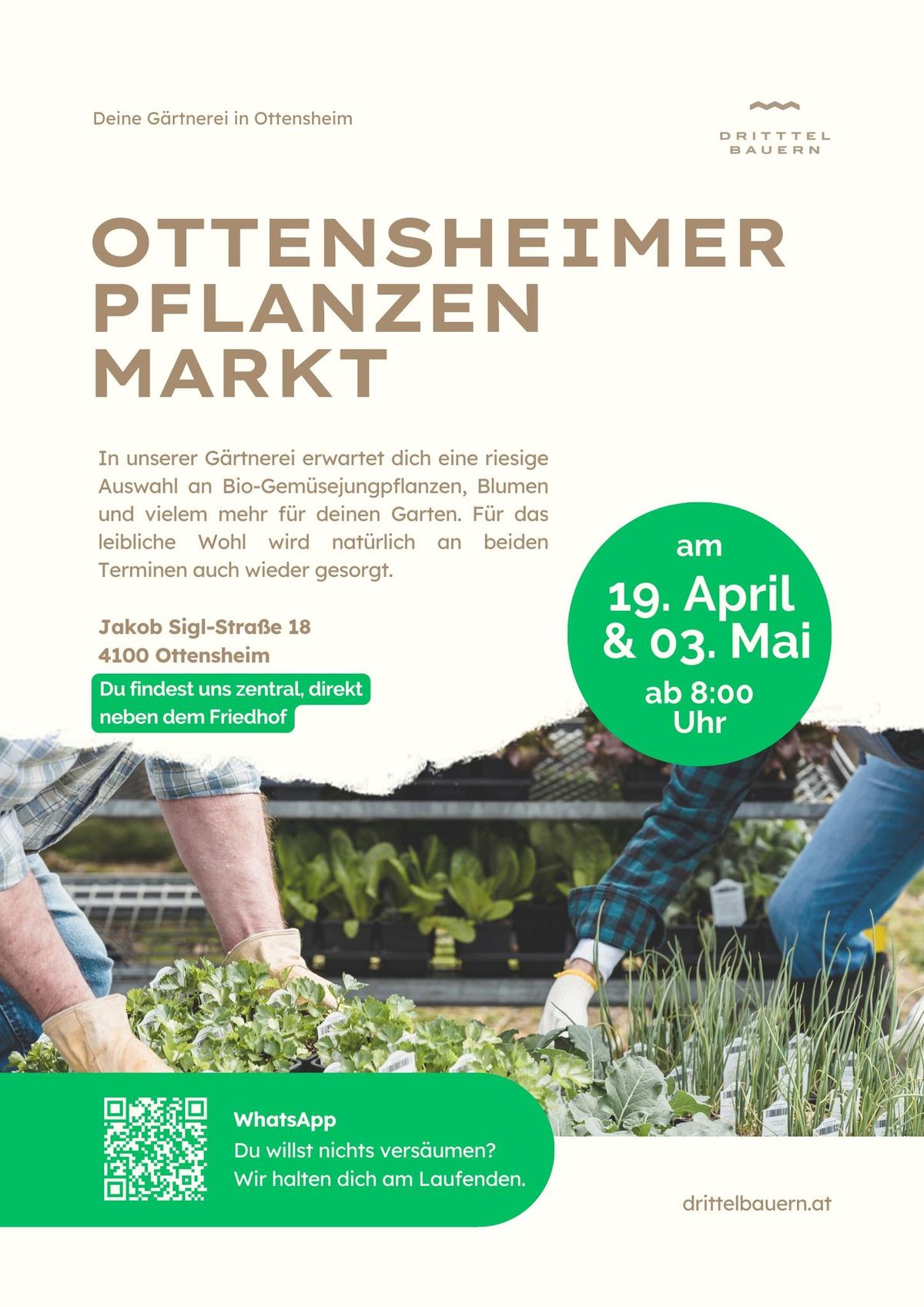 Ottensheimer Pflanzen Markt