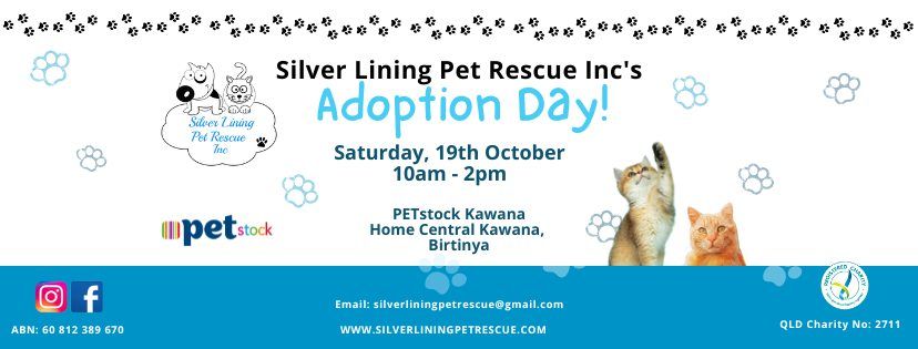 Adoption Day at PetStock Kawana