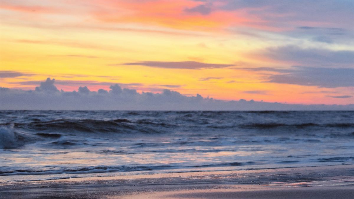 New Year, New You. Afternoon Meditation Retreat with Gen Chitta.