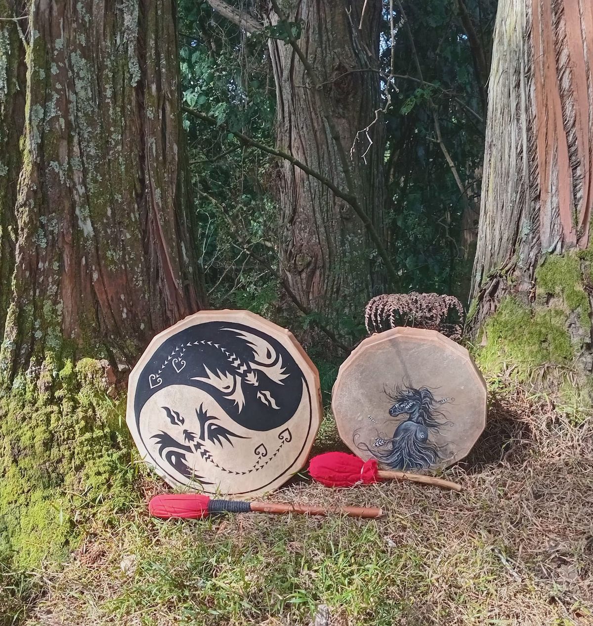 Medicine Drum making Workshop 