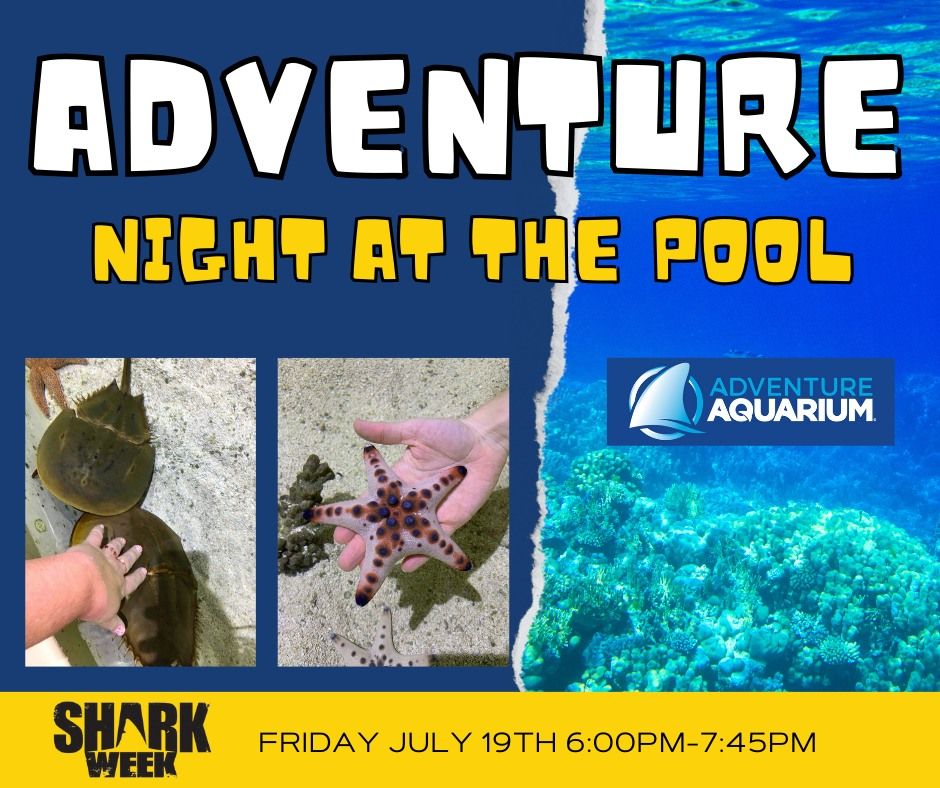 Adventure Night at the Pool