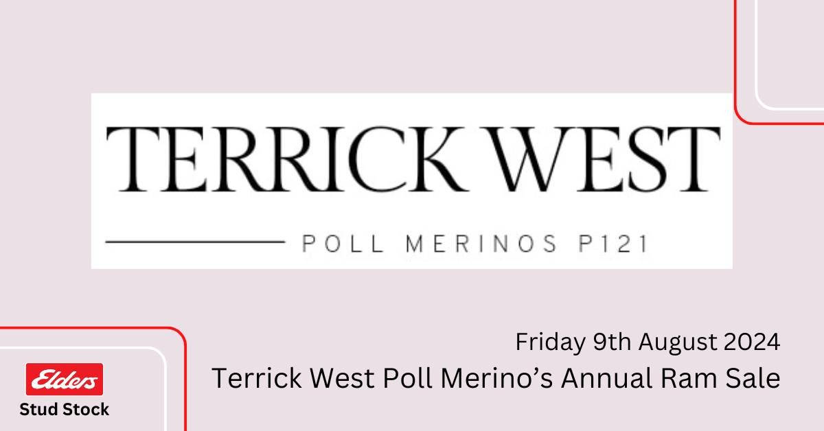 Terrick West Poll Merino's Annual Ram Sale