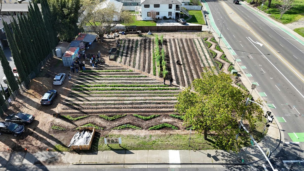 Call to Action 2.0 for Three Sisters Gardens