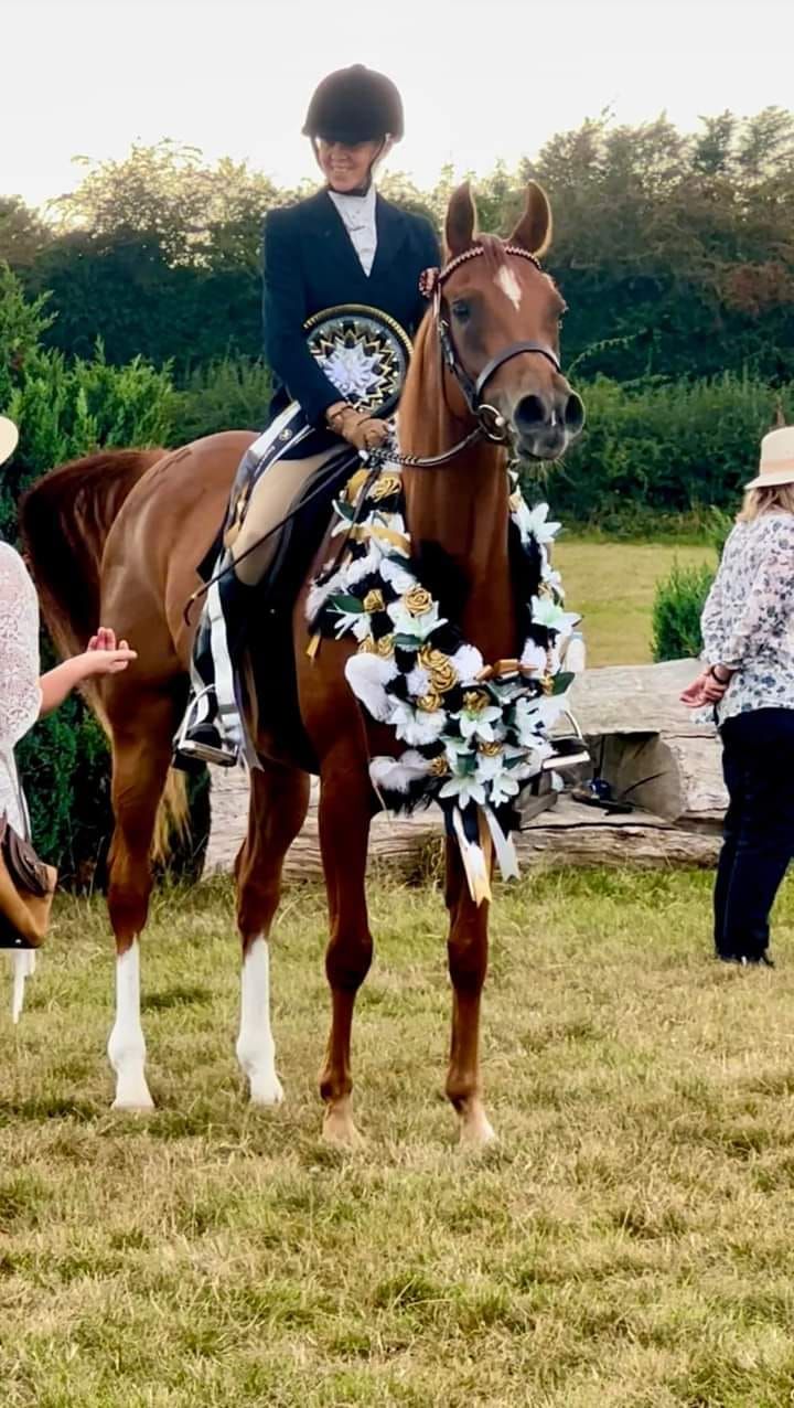 Foreign Breeds National Finals Show