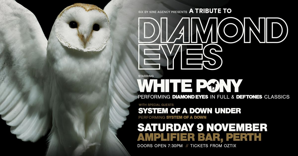 A tribute to "DIAMOND EYES" performed by WHITE PONY | Amplifier Bar, Perth WA