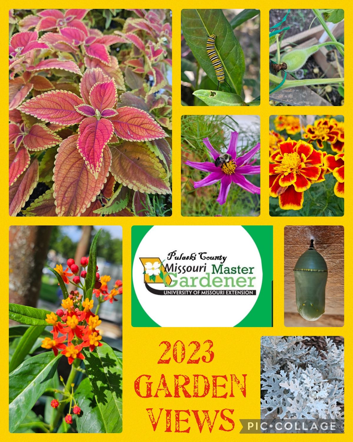 December 2024 Pulaski County Master Garden Club Meeting