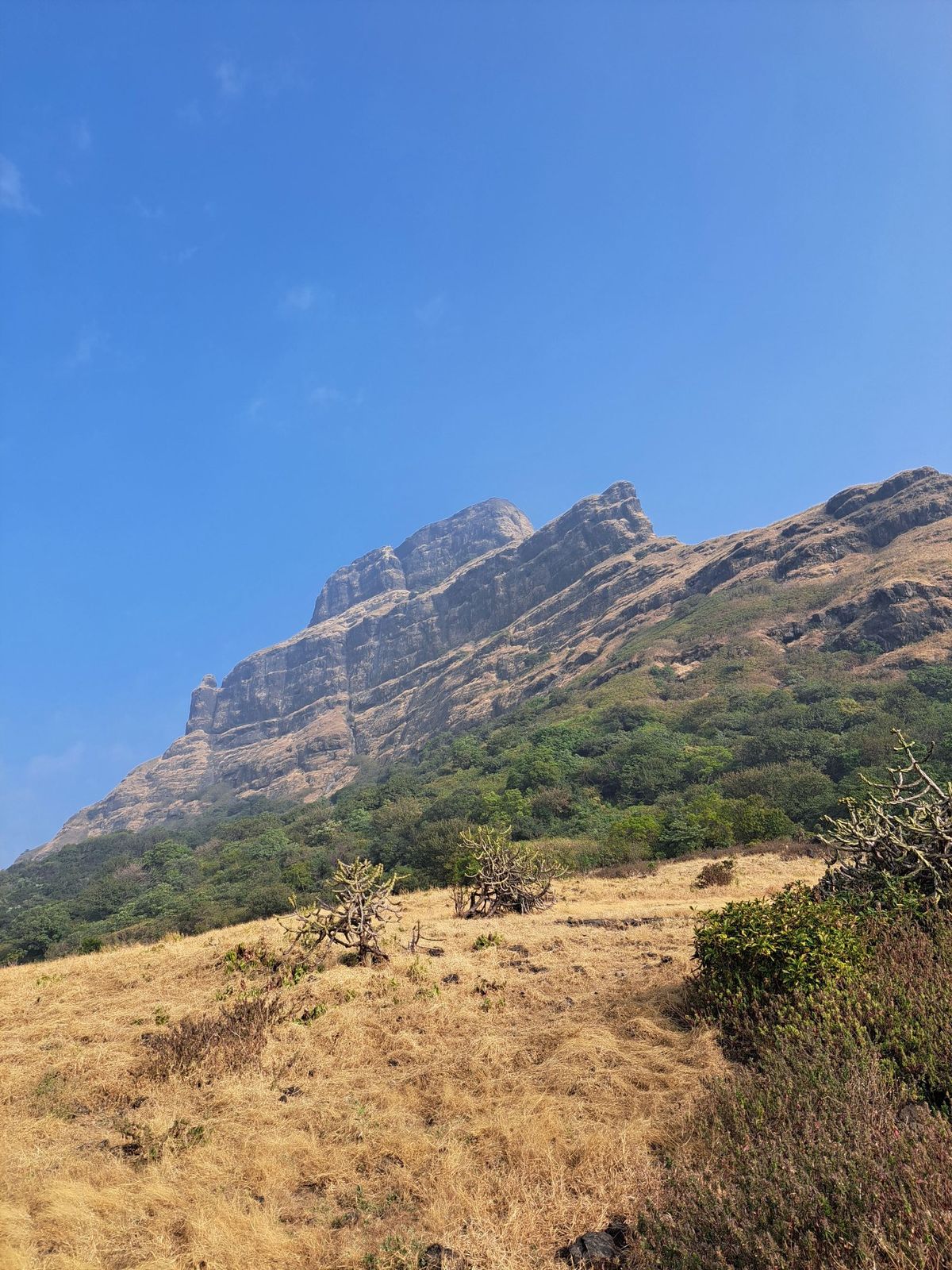 TraWell Amigos: Most Difficult Trek in Maharashtra - AMK - Alang, Malang and Kulang 2025