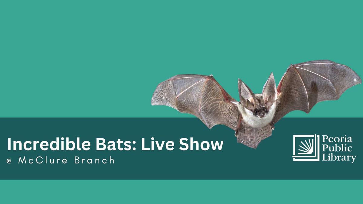 Incredible Bats: Live Show @ McClure Branch 