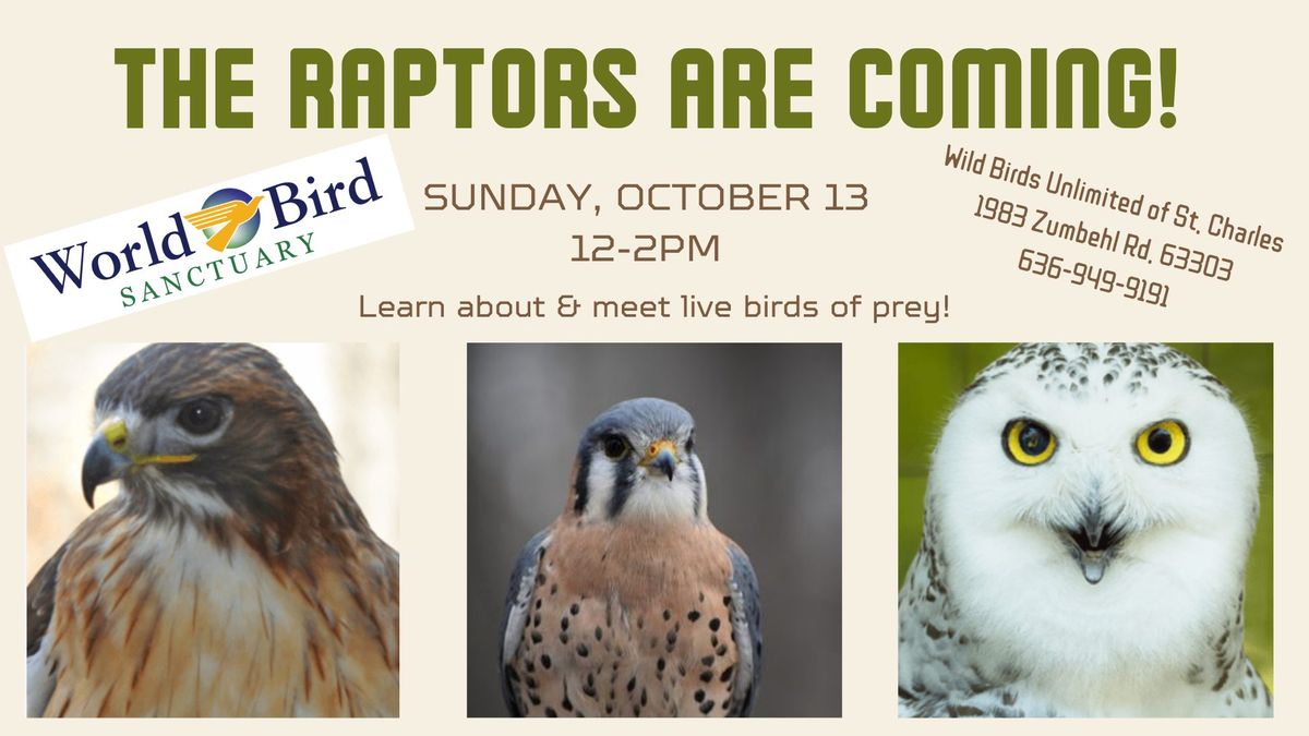 The Raptors Are Coming! Meet the Birds of Prey