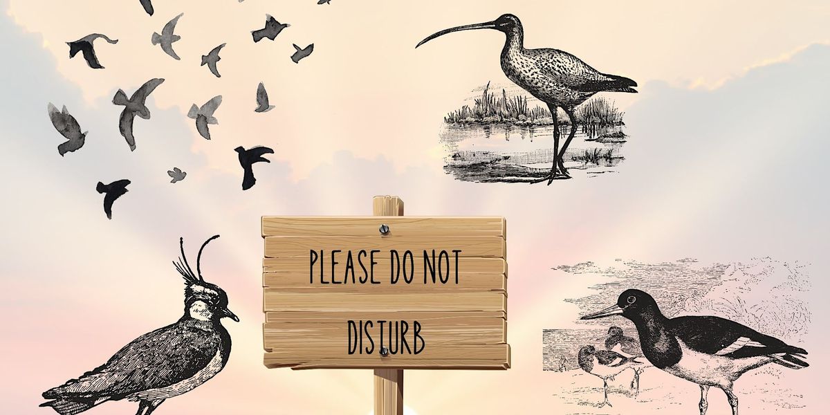 Do Not Disturb - Sign Creation Day: Raising awareness about the threats to Morecambe's coastal birds