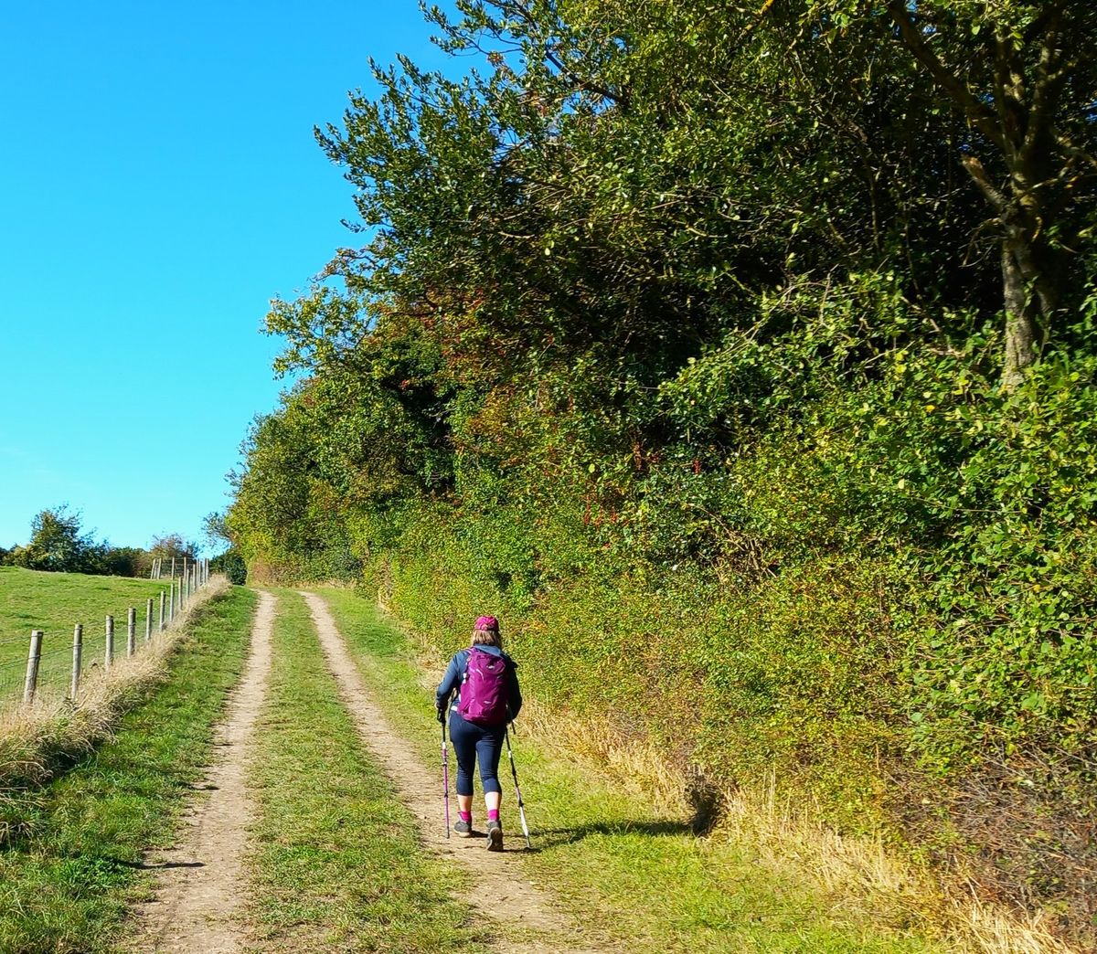 Chartham 10.5 mile walk