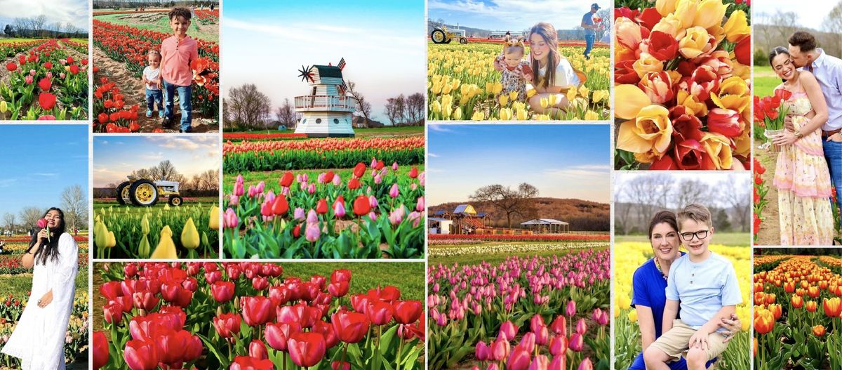 Arkansas Tulip Festival at Rivercrest Orchard!