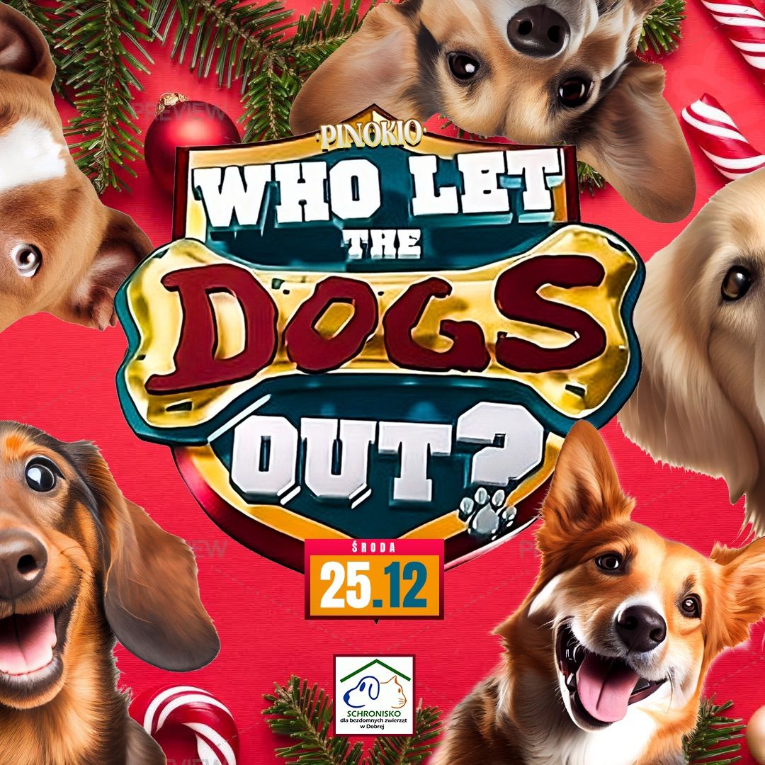 Who let the DOGS out? | Wspieramy Schronisko w Dobrej! 