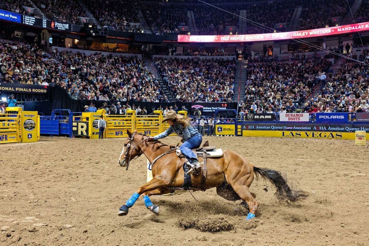 NATIONAL FINALS RODEO 2024