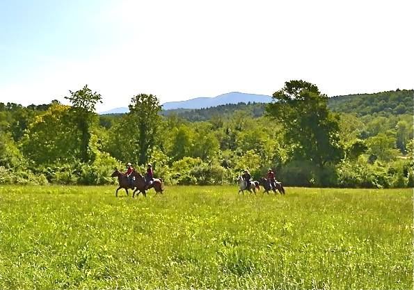 30th Biltmore Challenge Endurance Ride and AERC National Championship