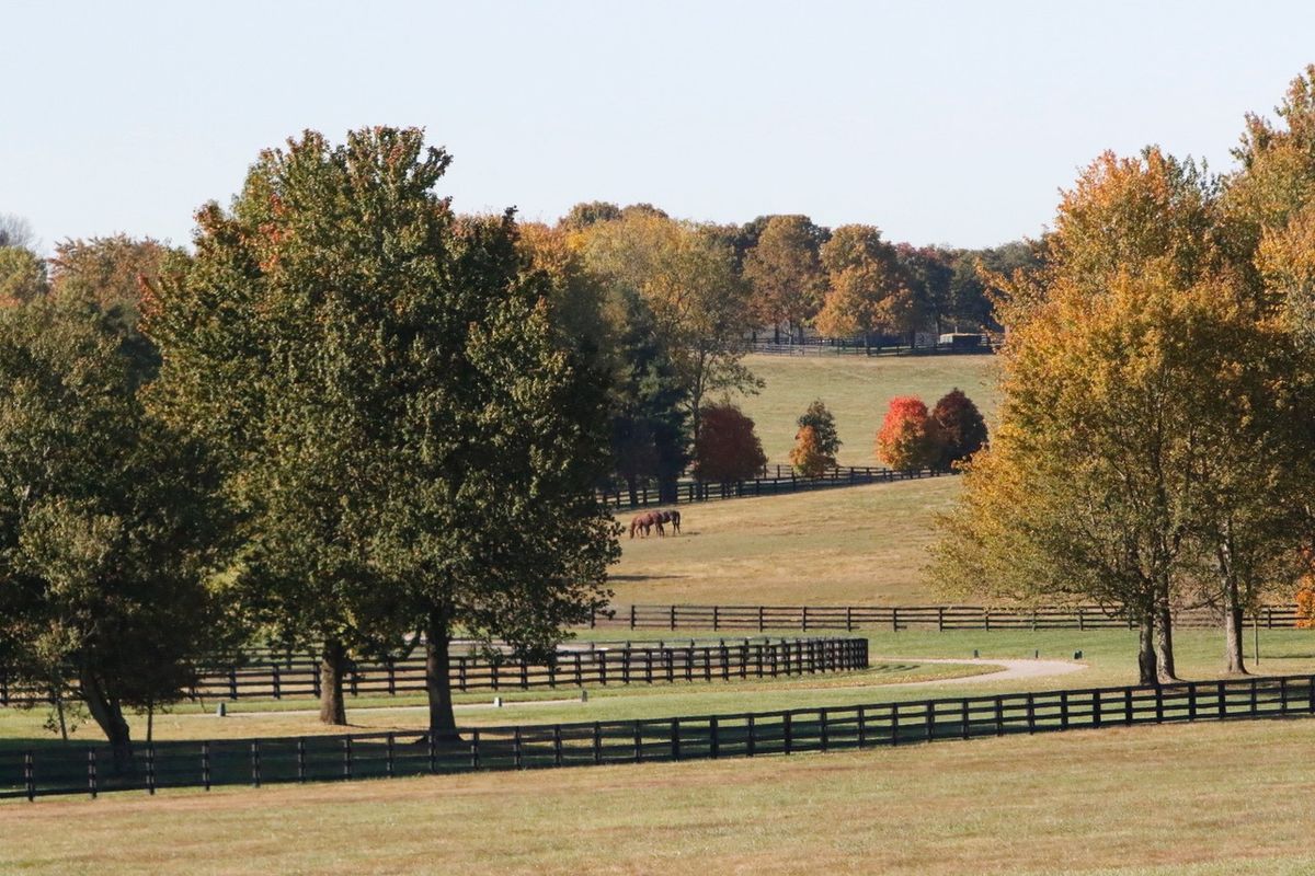 2024 KTFMC 5k @Gainesway Farm