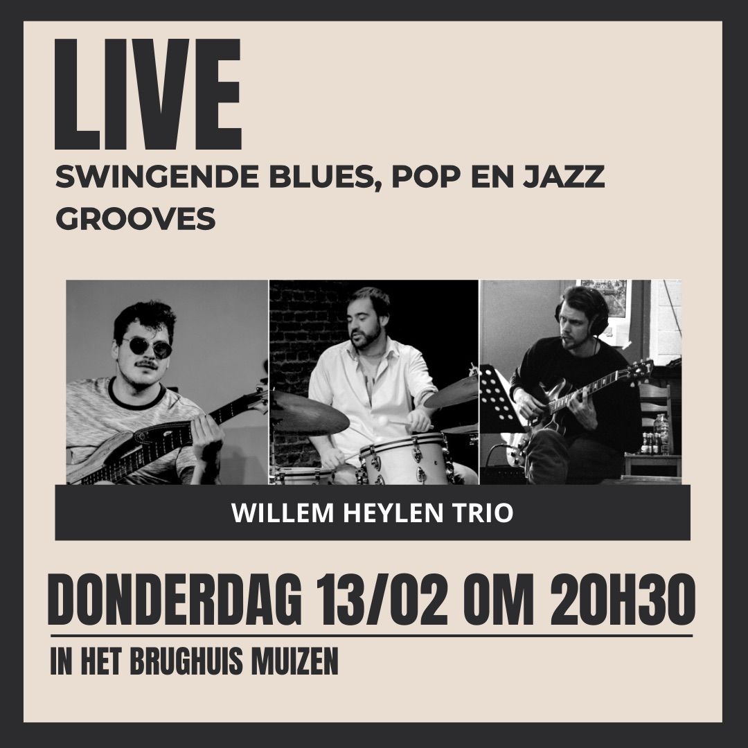 Live pop, blues & jazz: Willem Heylen Trio