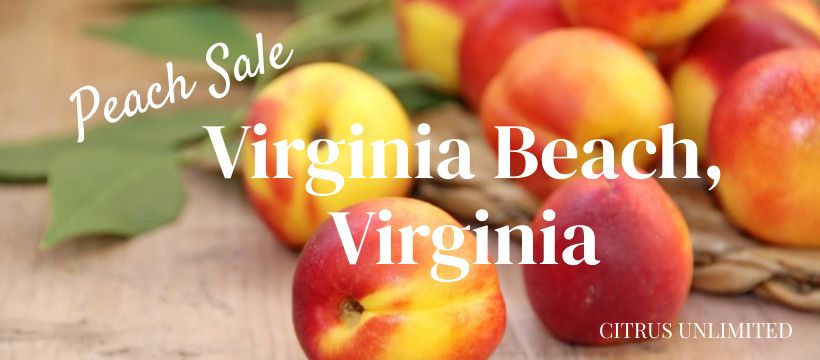 Peach Sale - Virginia Beach, VA from 12:00 - 2:00 pm at Kempsville Cons. Synagogue