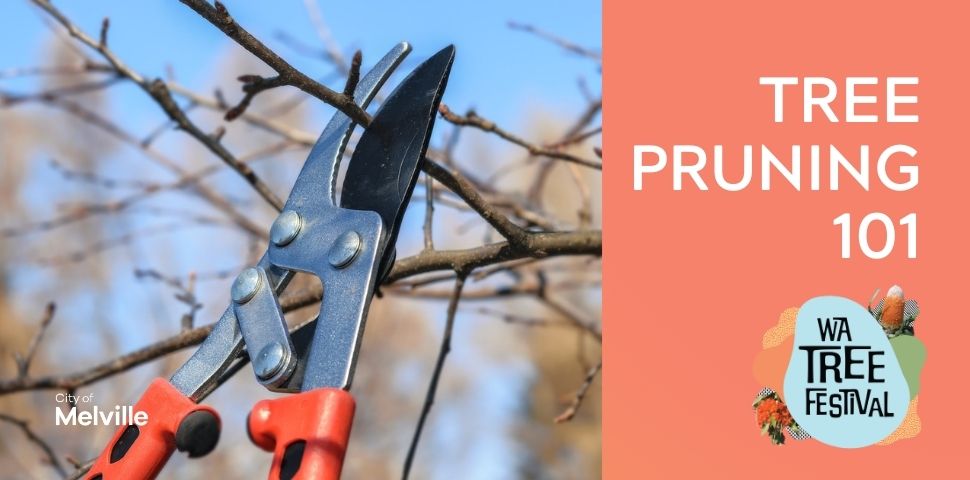 Tree Pruning 101