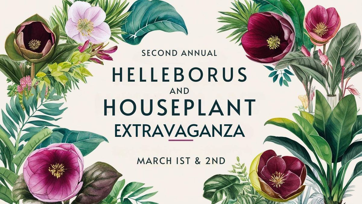 2nd Annual Helleborus and Houseplant Extravaganza!