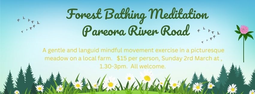 Forest Bathing Meditation - Pareora River Road 