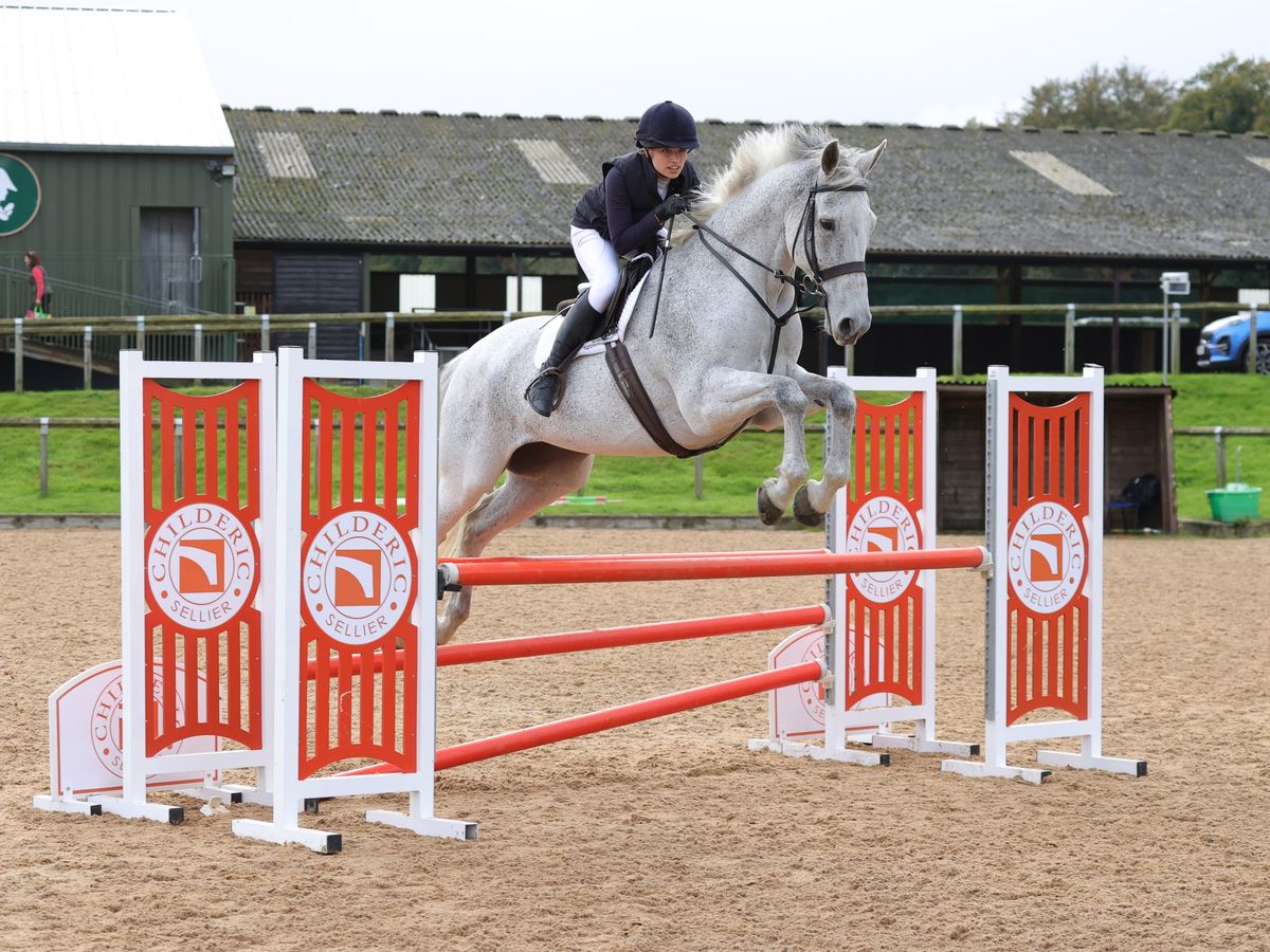 Show Jump Schooling