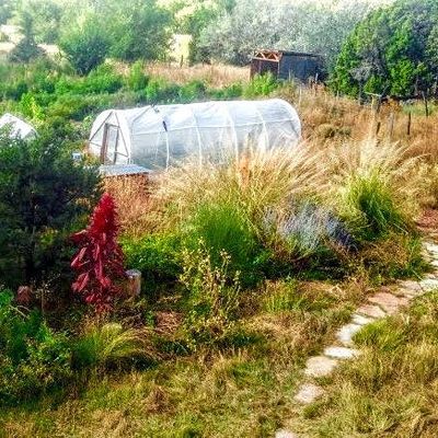 Zia Elemental School of Permaculture and Herbalism