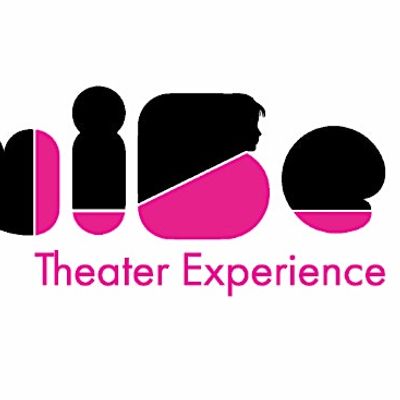 viBe Theater Experience