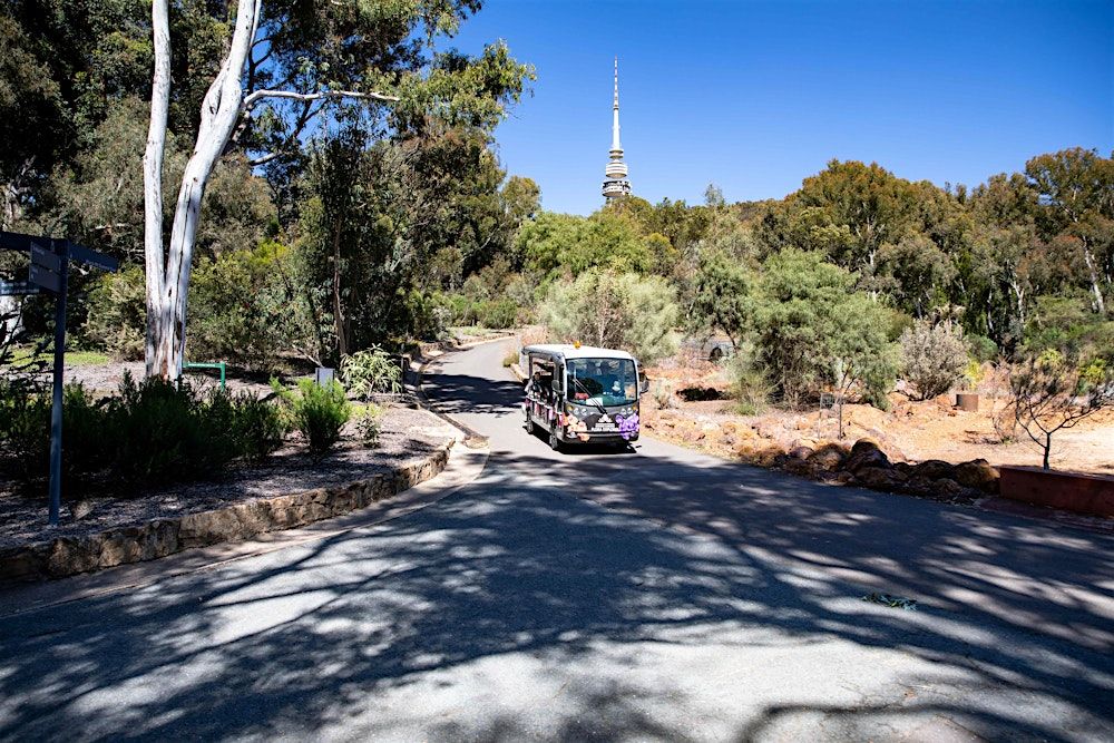 Secrets of the Australian Bush - a family adventure