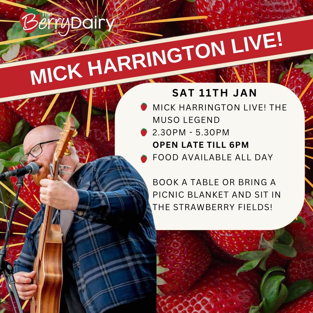 Mick Harrington Live in the Strawberry Fields