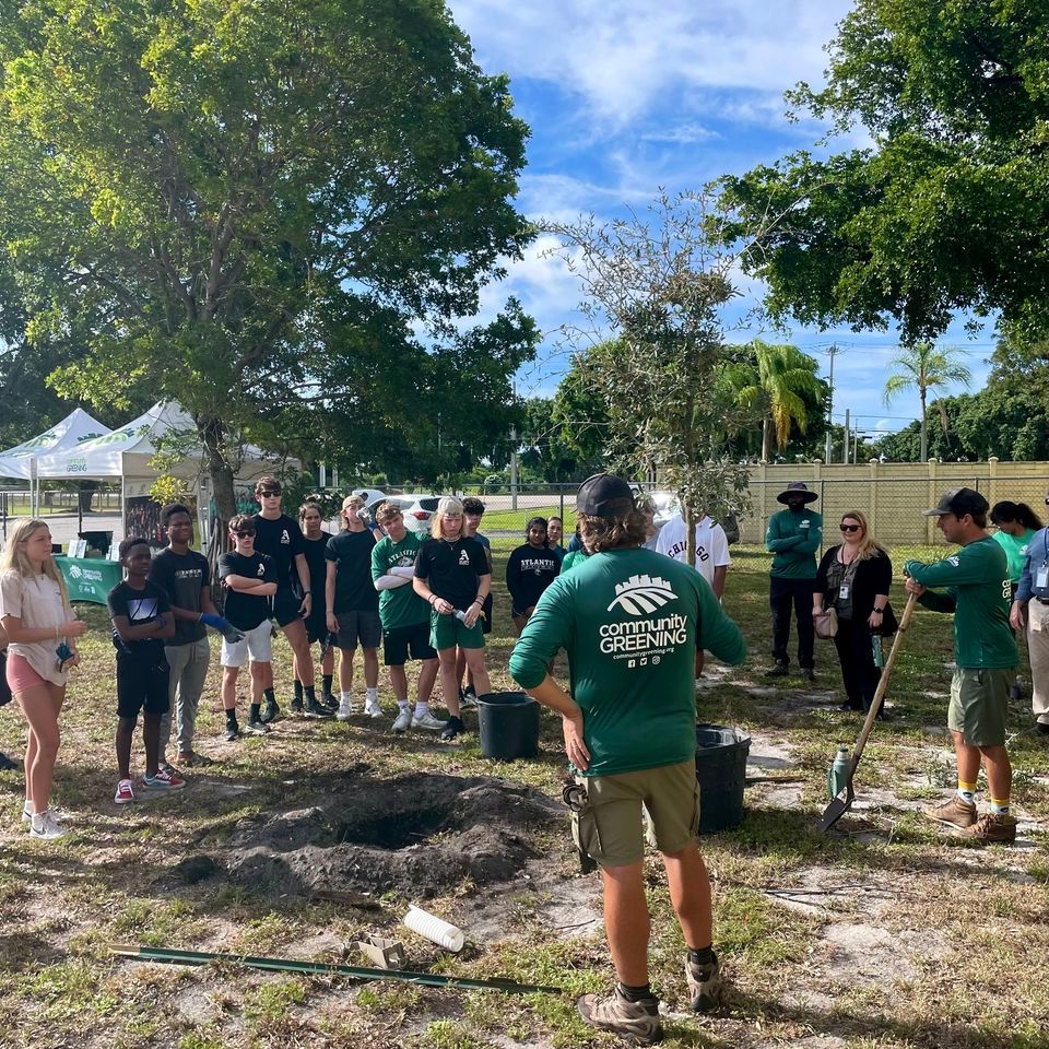 Plumosa Tree Planting #1