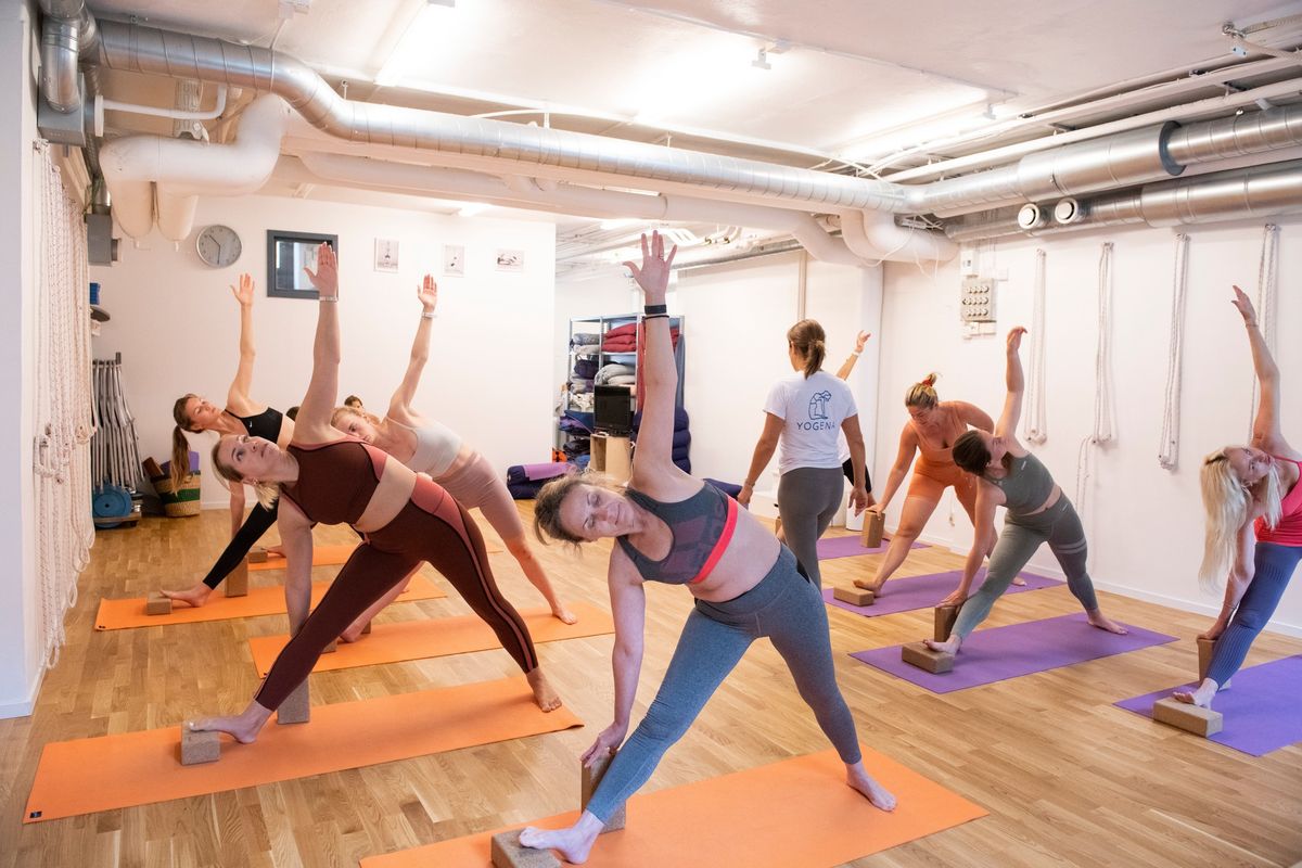 Grundkurs i Iyengaryoga