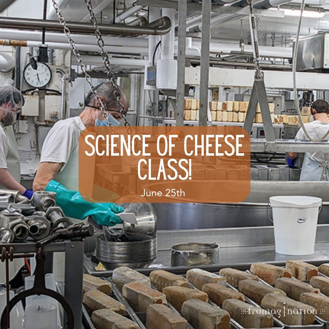 Science of Cheese