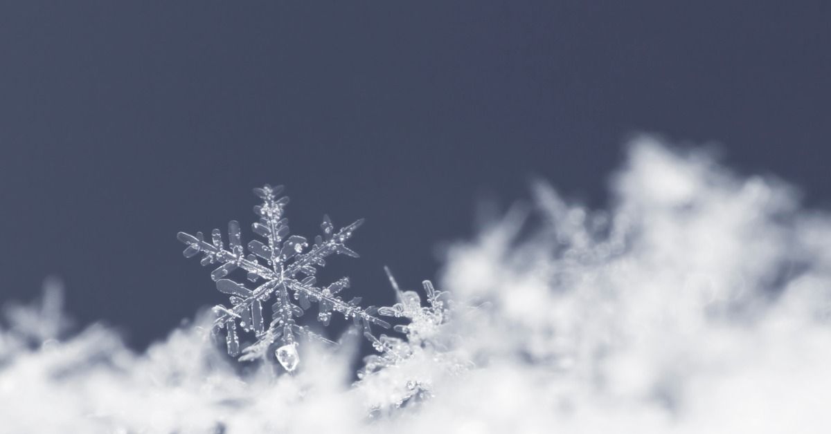 Storytime on the Trails: The Life of a Snowflake