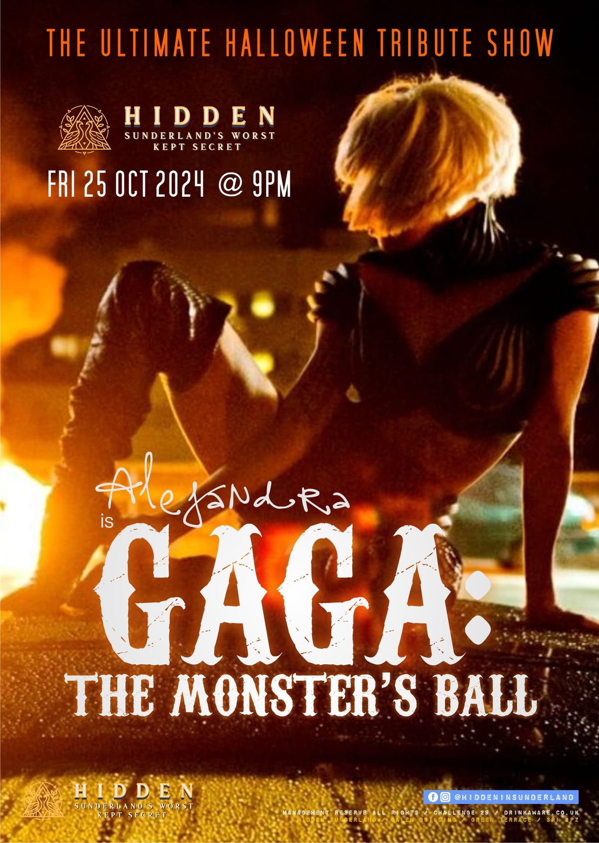 Gaga: The Monster's Ball