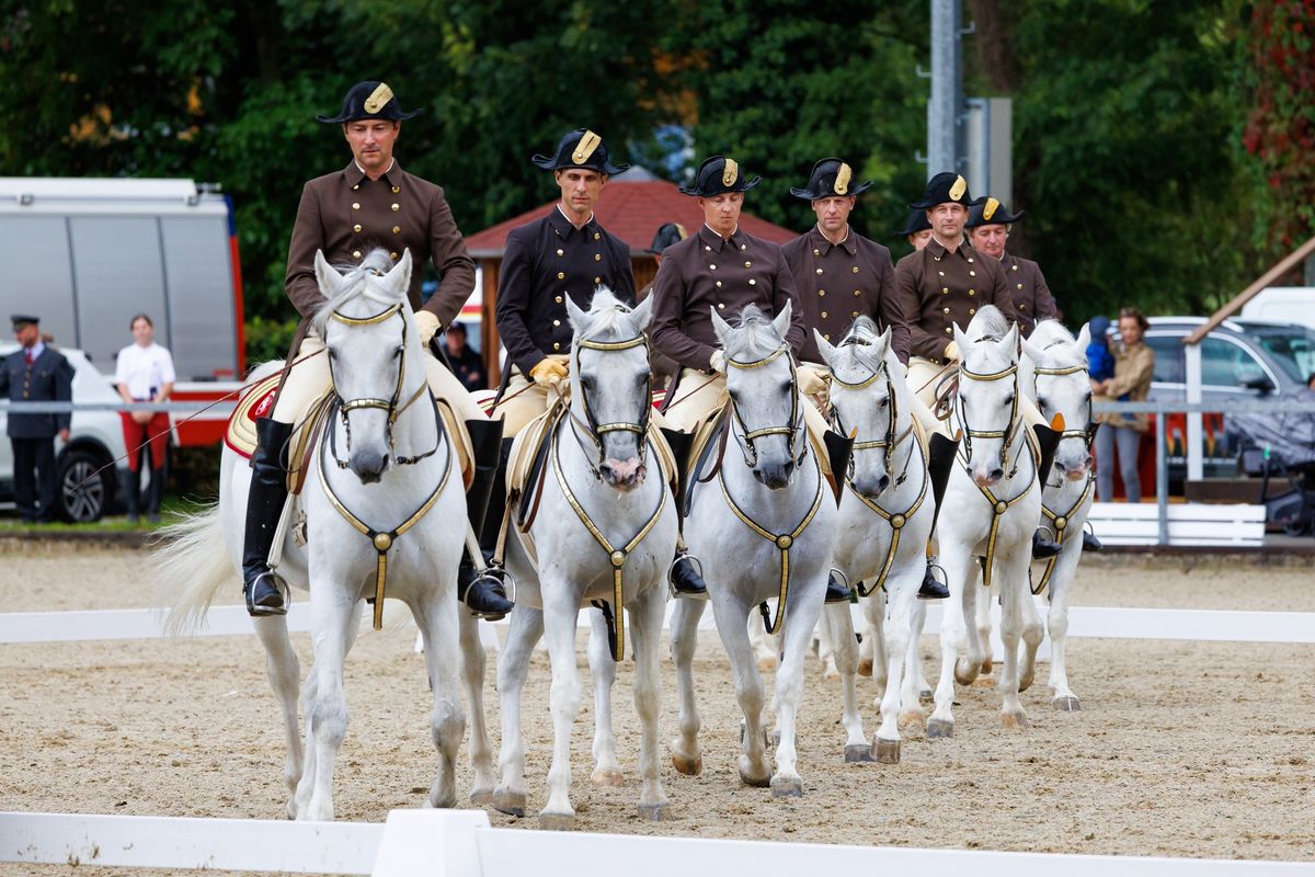 Fest der Lipizzaner