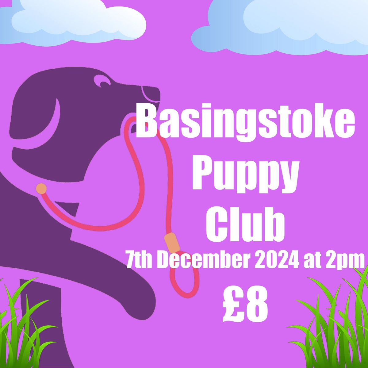 Basingstoke Puppy Club - 7th December 2024