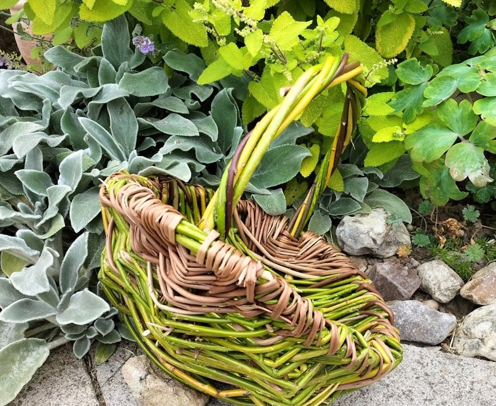 Foraging Basket Willow Workshop