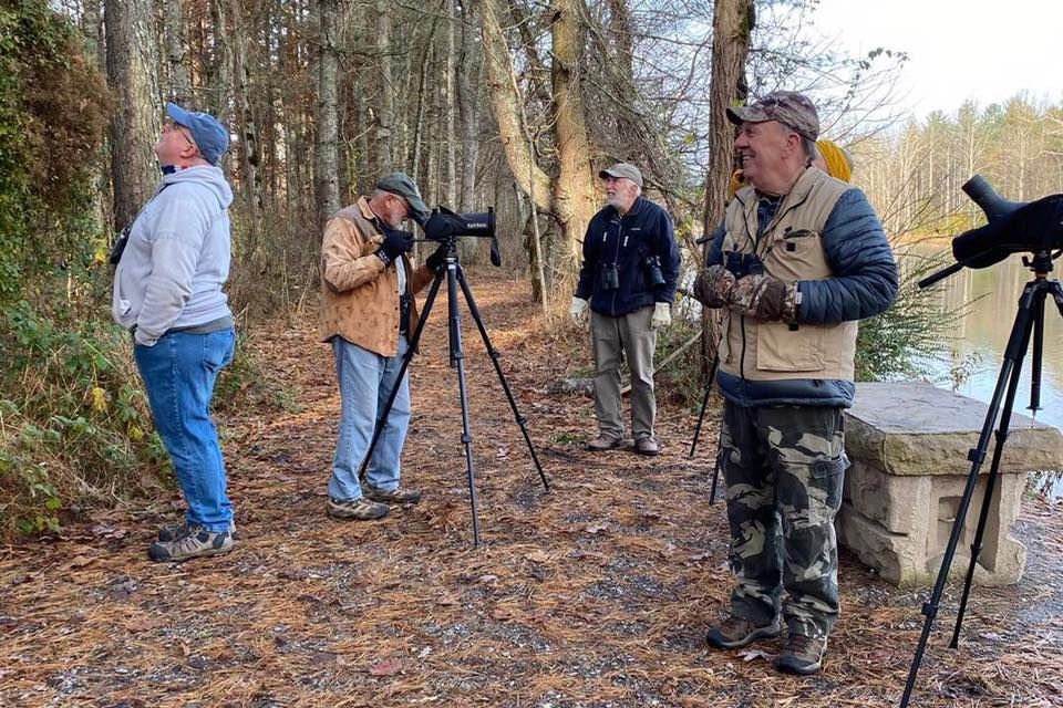 Bristol Bird Club Monthly Bird Walk at Steele Creek Park