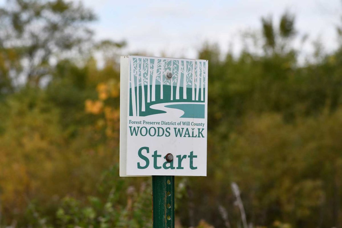 Woods Walk Group Hike