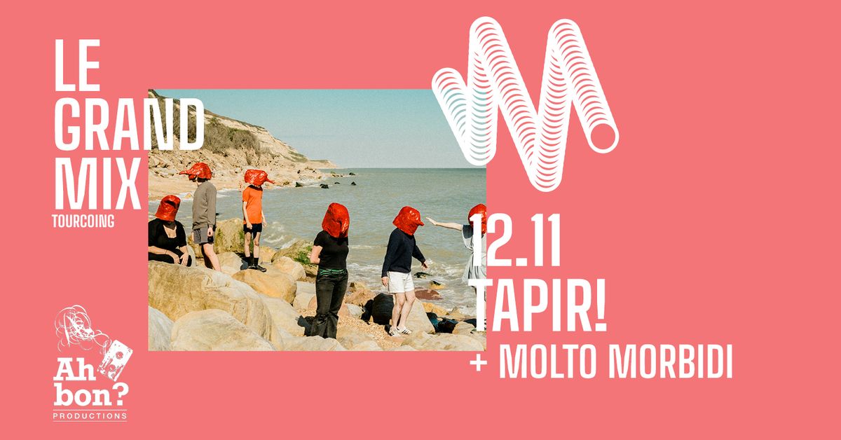 Tapir! + Molto Morbidi \u00b7 Le Grand Mix \u00b7 Tourcoing