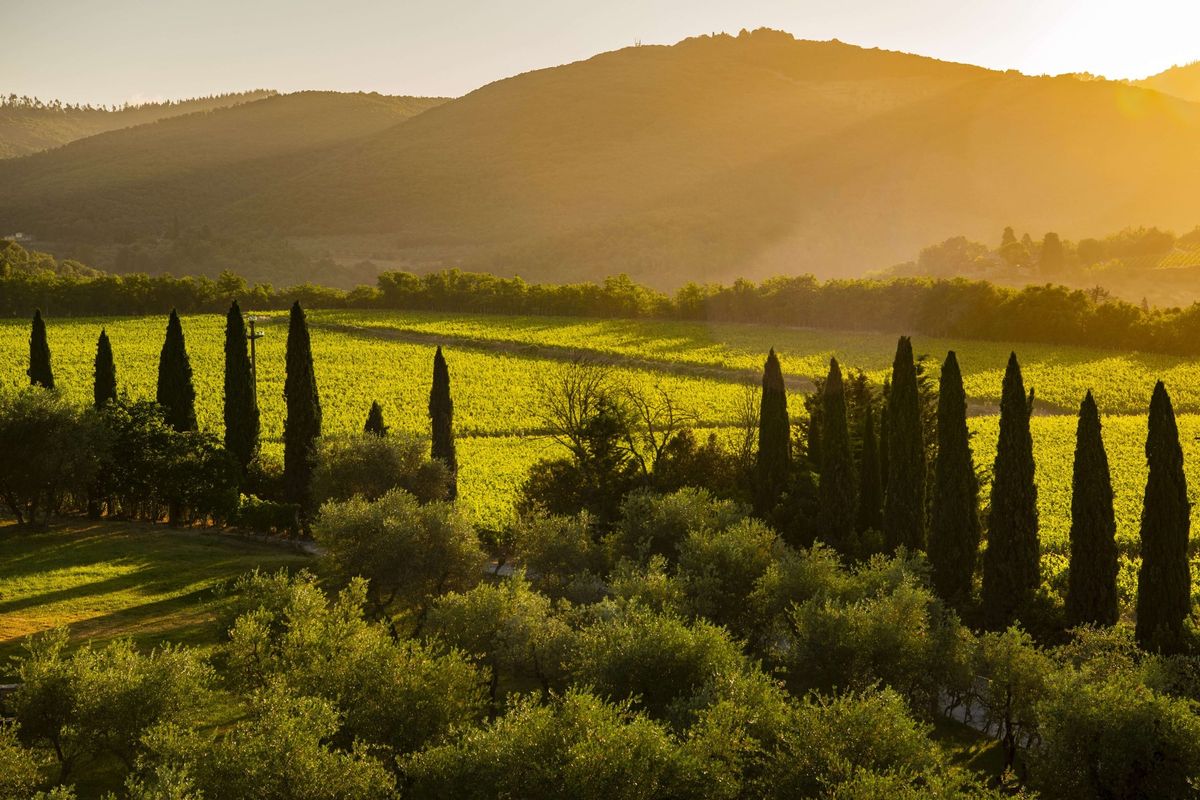 Super Tuscan Wine Tasting & Masterclass with Gino Mantuano at The Apis