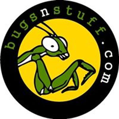 bugsnstuff.com