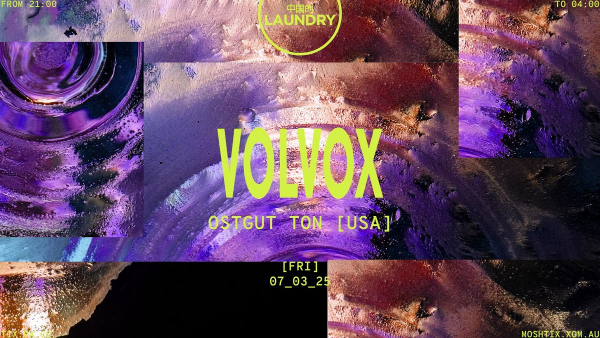 Chinese Laundry Invites VOLVOX [USA]