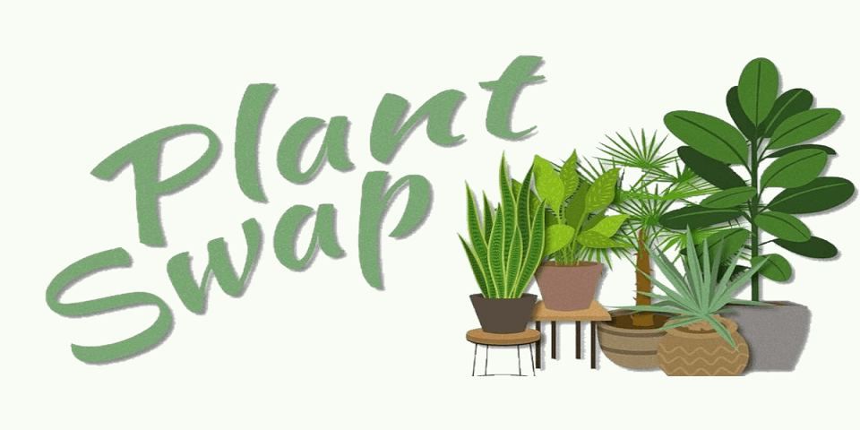 Plant Swap