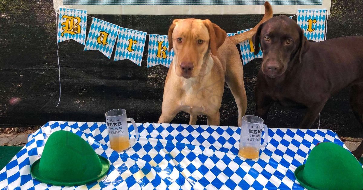 Barktober Fest Party