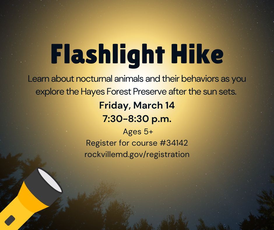 Flashlight Hike