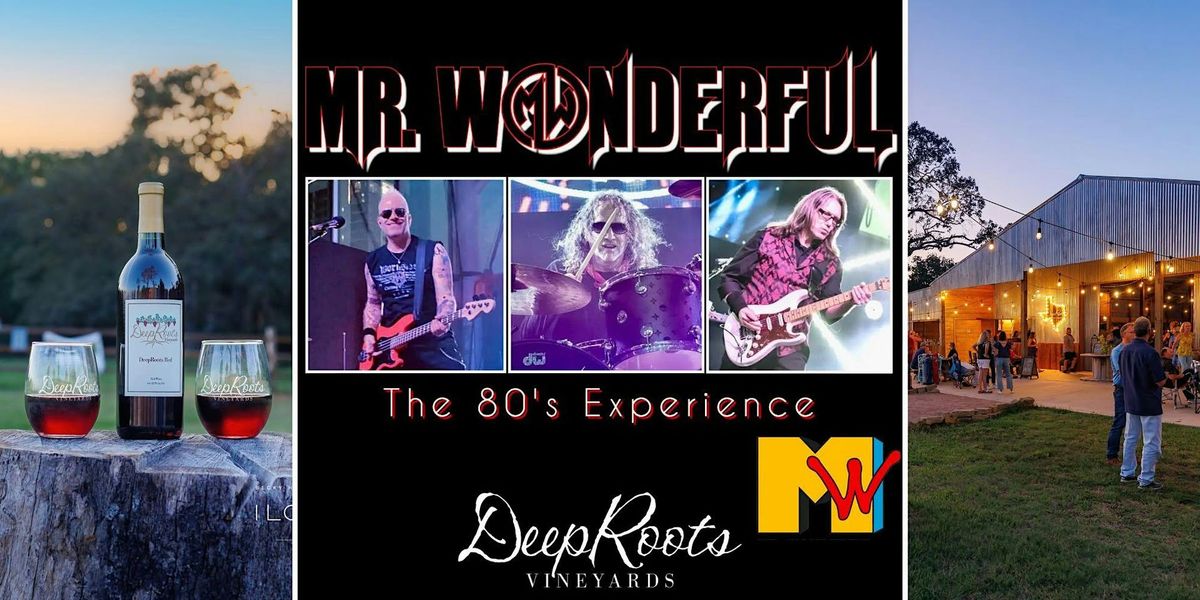 80's EXPERIENCE by Mr. Wonderful |Texas wine & craft beer